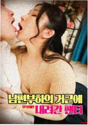 火影忍者 免费高清观看